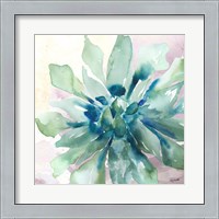 Framed Succulent Watercolor III