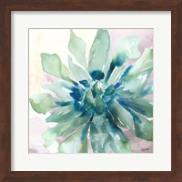 Framed Succulent Watercolor III