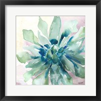 Framed Succulent Watercolor III