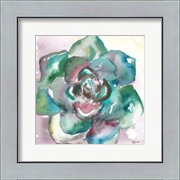 Framed 'Succulent Watercolor IV' border=