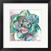 Framed 'Succulent Watercolor IV' border=