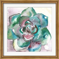 Framed Succulent Watercolor IV