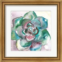 Framed 'Succulent Watercolor IV' border=