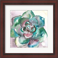 Framed Succulent Watercolor IV