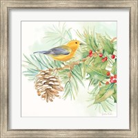 Framed Winter Birds I Warbler