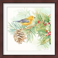 Framed Winter Birds I Warbler