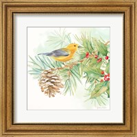 Framed Winter Birds I Warbler
