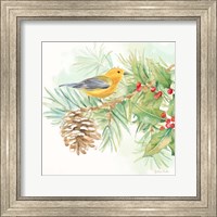 Framed 'Winter Birds I Warbler' border=