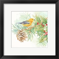 Framed 'Winter Birds I Warbler' border=