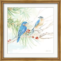 Framed Winter Birds III Bluebirds