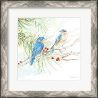 Framed Winter Birds III Bluebirds
