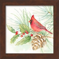 Framed 'Winter Birds IV Cardinal' border=