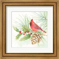Framed 'Winter Birds IV Cardinal' border=