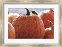 Framed Fall Pumpkin