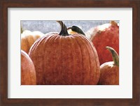 Framed Fall Pumpkin