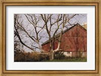 Framed Old Barn
