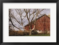 Framed Old Barn