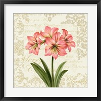 Framed Botanical Christmas Cream IV