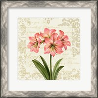 Framed Botanical Christmas Cream IV