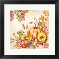 Watercolor Harvest Pumpkins II Framed Print