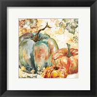 Watercolor Harvest Teal and Orange Pumpkins I Framed Print
