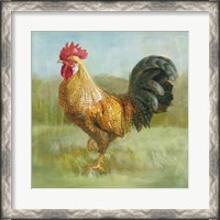 Framed Noble Rooster II