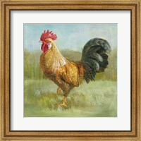 Framed Noble Rooster II