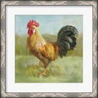 Framed Noble Rooster II