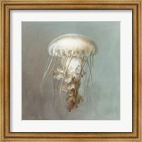 Framed Treasures from the Sea VI