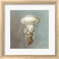 Framed 'Treasures from the Sea VI' border=