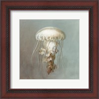 Framed Treasures from the Sea VI