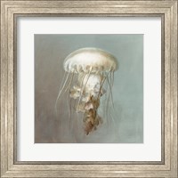 Framed Treasures from the Sea VI