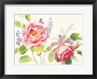 Watercolor Roses Framed Print