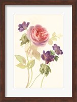 Framed Watercolor Flowers IV