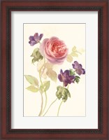 Framed Watercolor Flowers IV