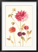 Framed Watercolor Flowers V