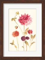 Framed Watercolor Flowers V