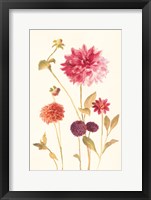 Watercolor Flowers V Framed Print