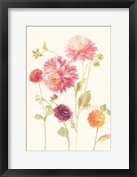 Watercolor Flowers VI Framed Print