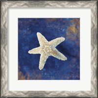 Framed Treasures from the Sea Indigo IV