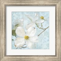 Framed Indiness Blossom Vintage I Pale