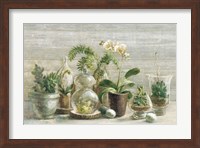 Framed Greenhouse Orchids on Wood v2
