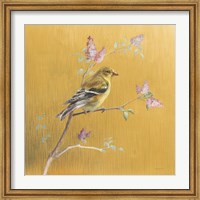 Framed Female Goldfinch on Gold