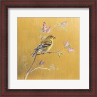 Framed 'Female Goldfinch on Gold' border=