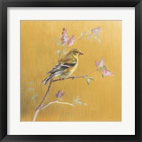 Framed 'Female Goldfinch on Gold' border=