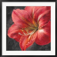 Framed Vivid Floral III Crop