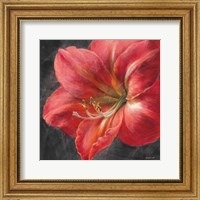 Framed Vivid Floral III Crop