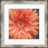 Framed Vivid Floral II Crop