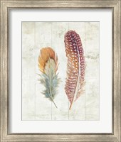 Framed Natural Flora XI Bold Feathers