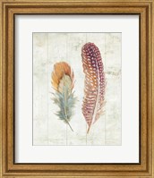 Framed Natural Flora XI Bold Feathers